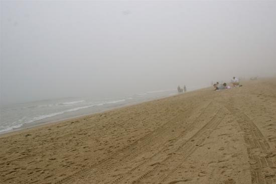 Foggy Beach