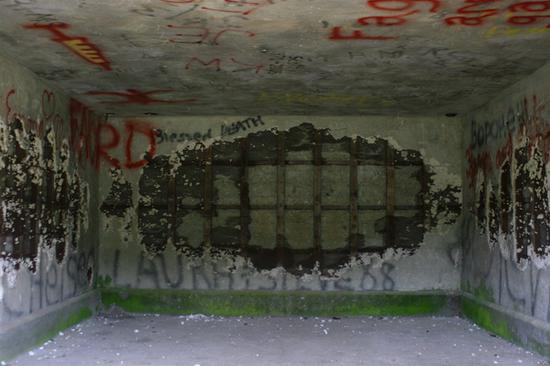 Fort Williams Graffiti