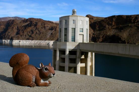 Rice at Hoover Dam